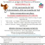 Vide grenier et vide sellerie