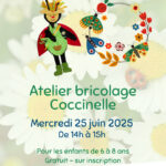 Atelier bricolage Coccinelle