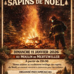Brûlage des sapins de Noël